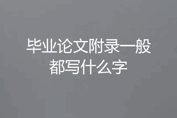 毕业论文附录一般都写什么字