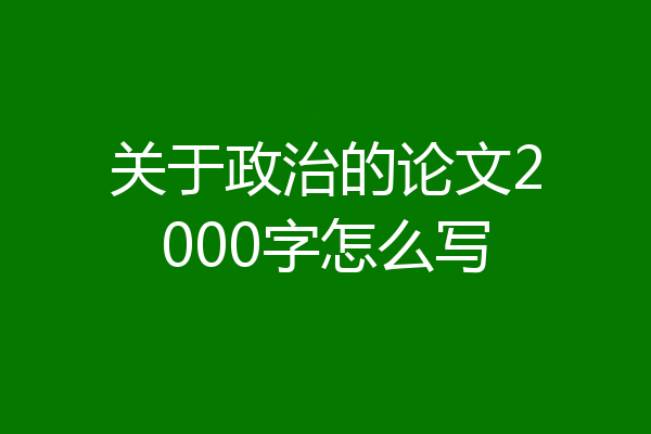 关于政治的论文2000字怎么写