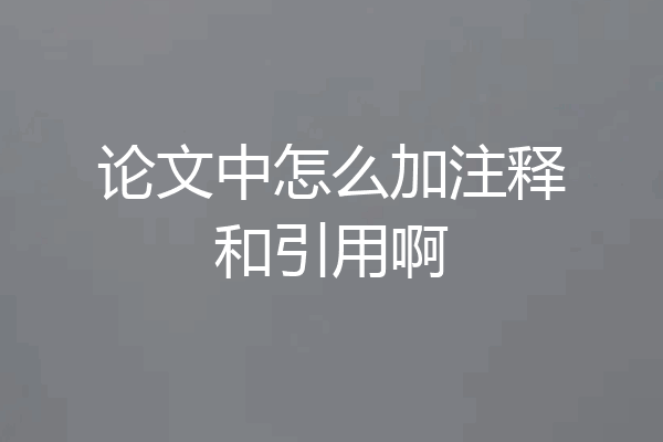论文中怎么加注释和引用啊