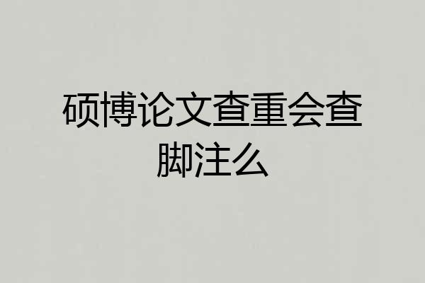 硕博论文查重会查脚注么