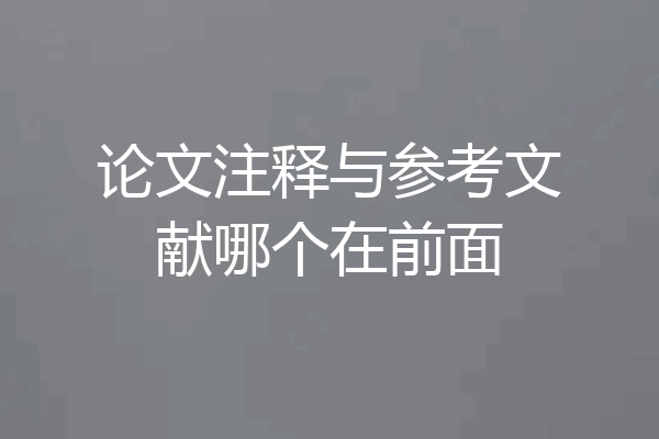 论文注释与参考文献哪个在前面