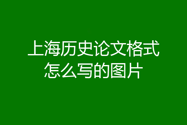 上海历史论文格式怎么写的图片