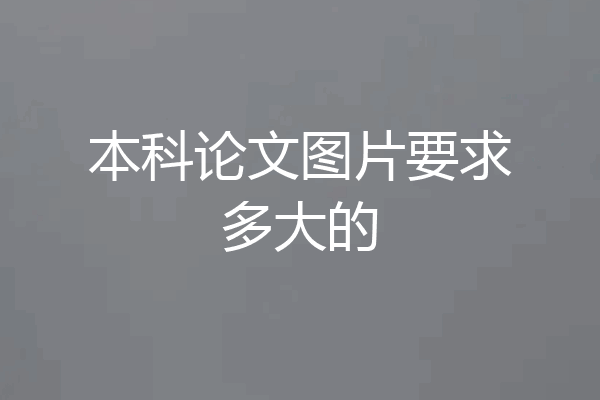 本科论文图片要求多大的