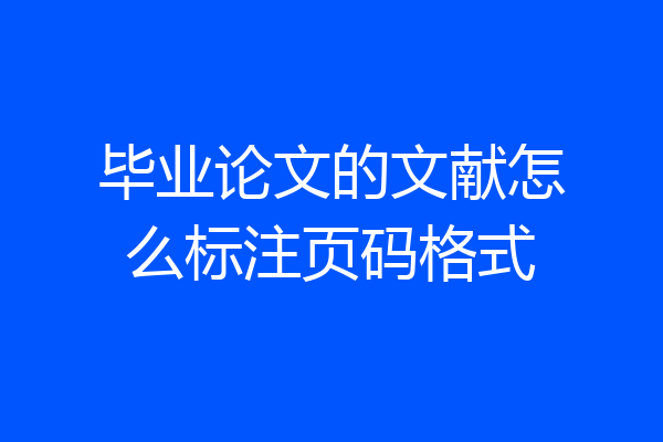 毕业论文的文献怎么标注页码格式
