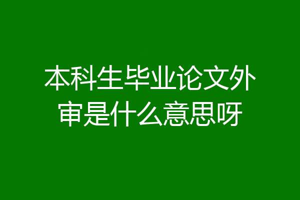 本科生毕业论文外审是什么意思呀