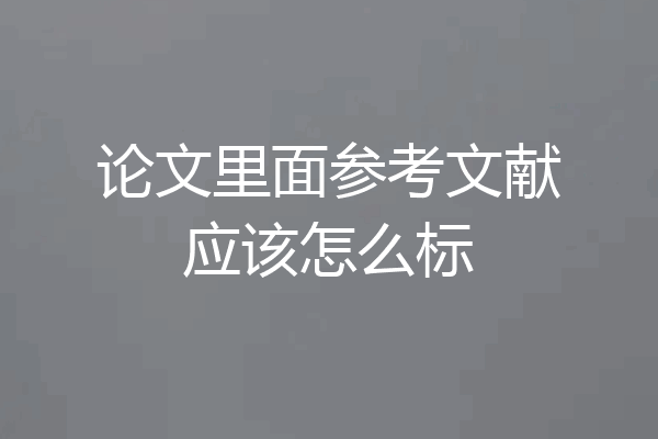 论文里面参考文献应该怎么标