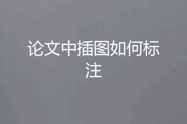 论文中插图如何标注