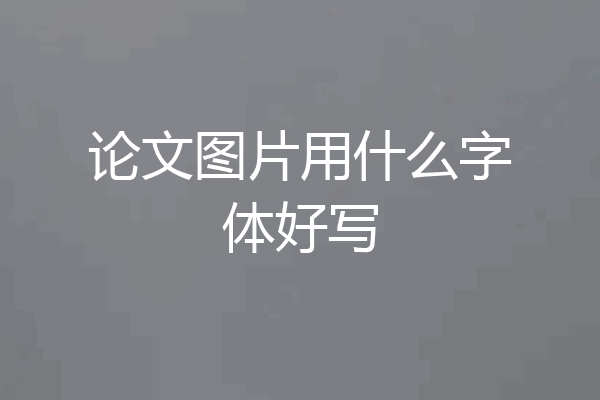 论文图片用什么字体好写
