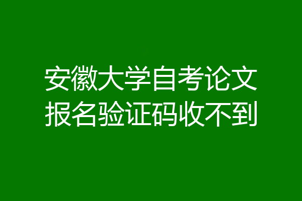 安徽大学自考论文报名验证码收不到
