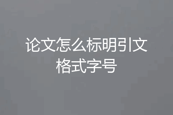 论文怎么标明引文格式字号