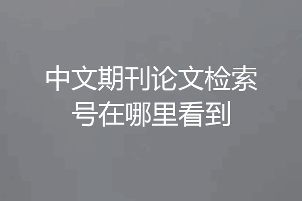 中文期刊论文检索号在哪里看到
