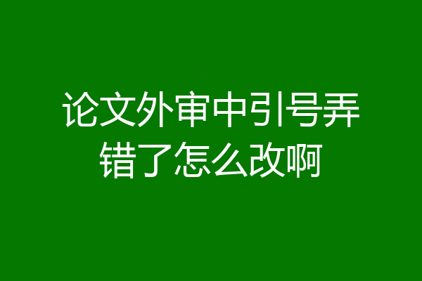 论文外审中引号弄错了怎么改啊