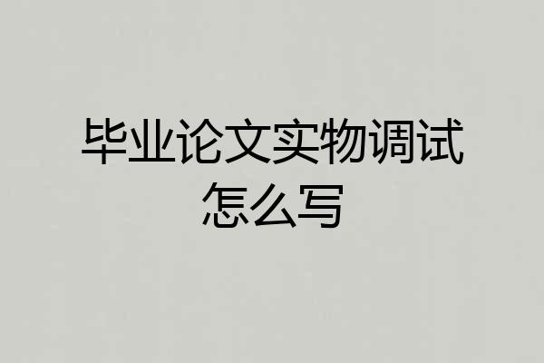 毕业论文实物调试怎么写
