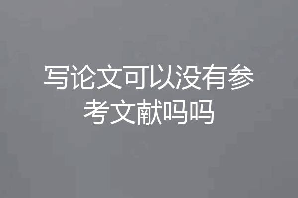 写论文可以没有参考文献吗吗