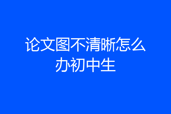 论文图不清晰怎么办初中生