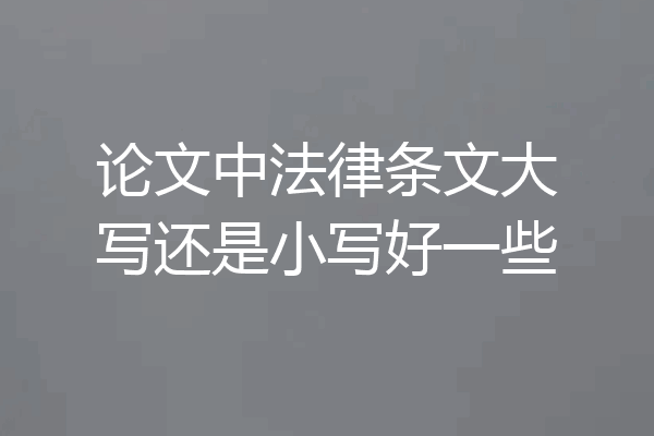 论文中法律条文大写还是小写好一些