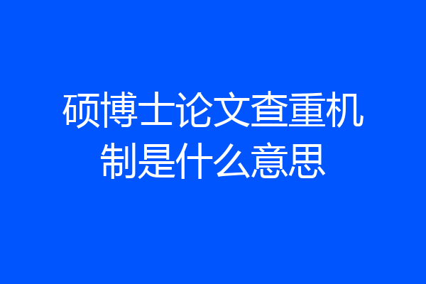 硕博士论文查重机制是什么意思