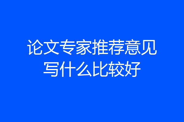 论文专家推荐意见写什么比较好