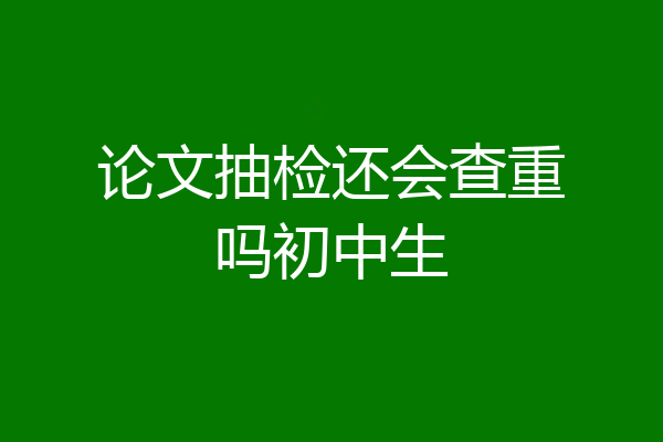 论文抽检还会查重吗初中生