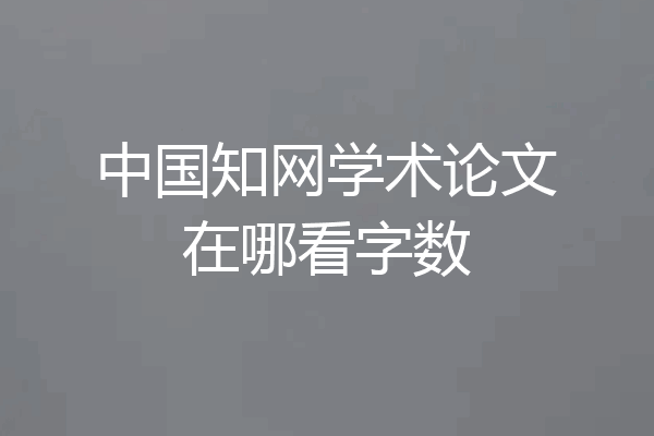 中国知网学术论文在哪看字数