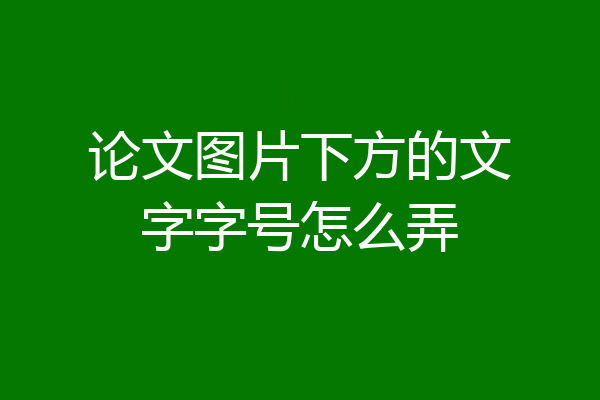 论文图片下方的文字字号怎么弄