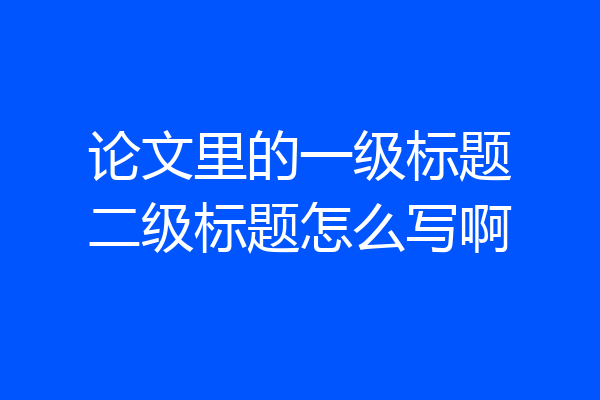 论文里的一级标题二级标题怎么写啊