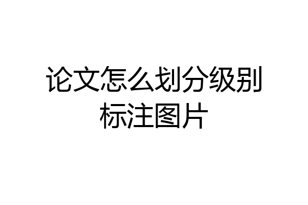论文怎么划分级别标注图片