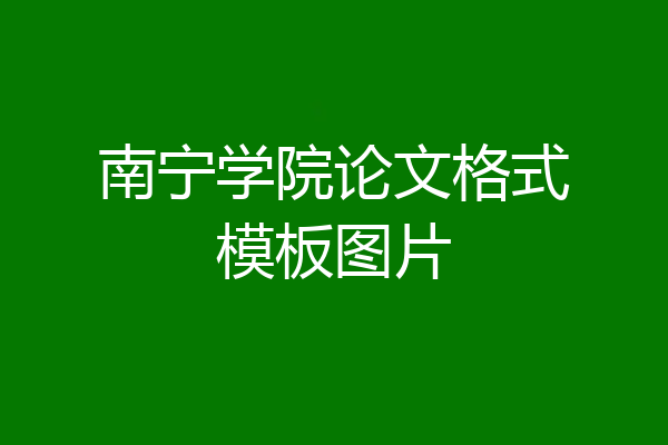 南宁学院论文格式模板图片