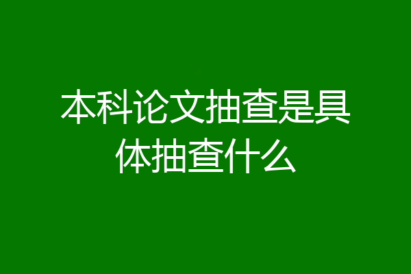 本科论文抽查是具体抽查什么
