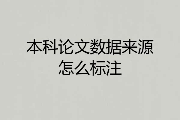 本科论文数据来源怎么标注