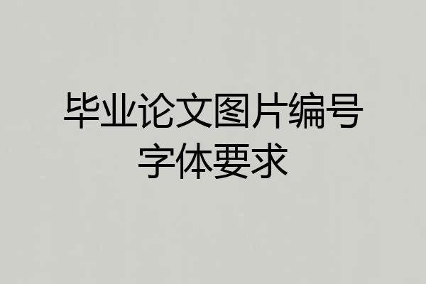 毕业论文图片编号字体要求