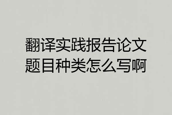 翻译实践报告论文题目种类怎么写啊