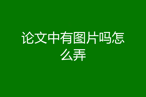 论文中有图片吗怎么弄