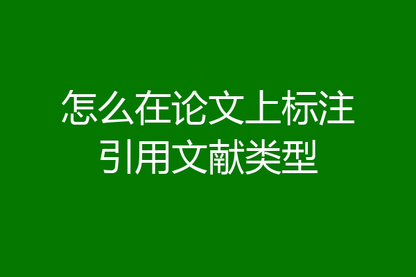 怎么在论文上标注引用文献类型