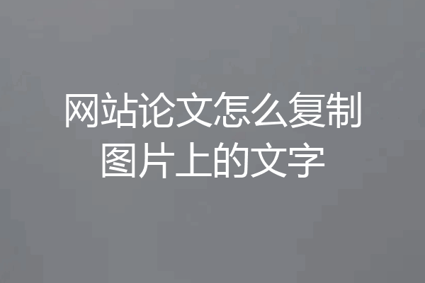 网站论文怎么复制图片上的文字