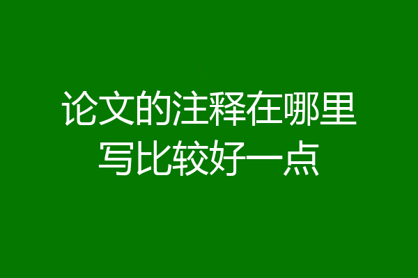 论文的注释在哪里写比较好一点