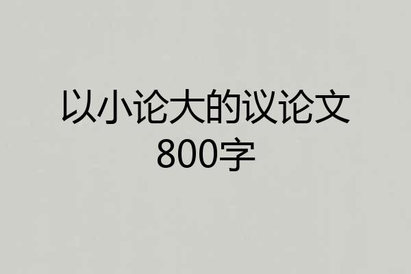 以小论大的议论文800字