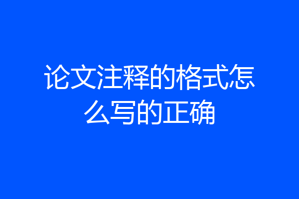 论文注释的格式怎么写的正确