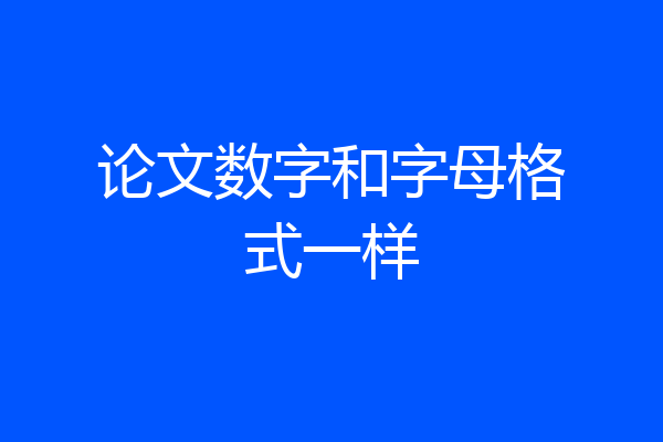 论文数字和字母格式一样