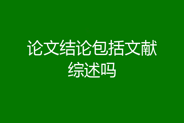 论文结论包括文献综述吗