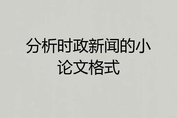 分析时政新闻的小论文格式