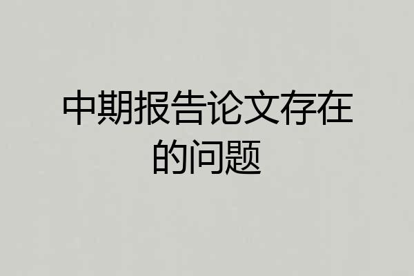 中期报告论文存在的问题