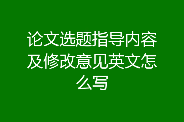 论文选题指导内容及修改意见英文怎么写