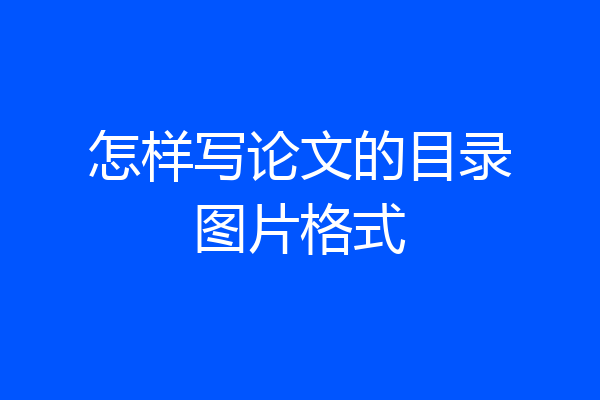 怎样写论文的目录图片格式