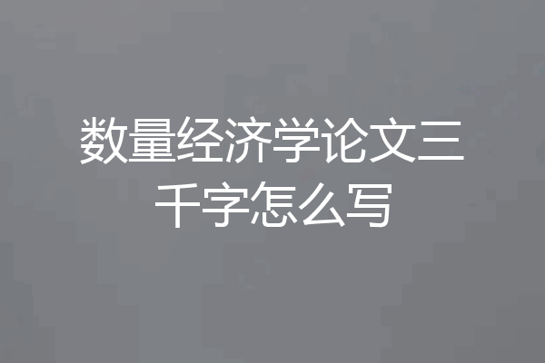 数量经济学论文三千字怎么写