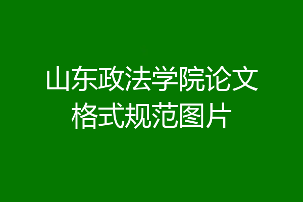 山东政法学院论文格式规范图片