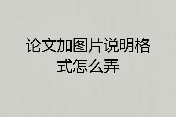 论文加图片说明格式怎么弄