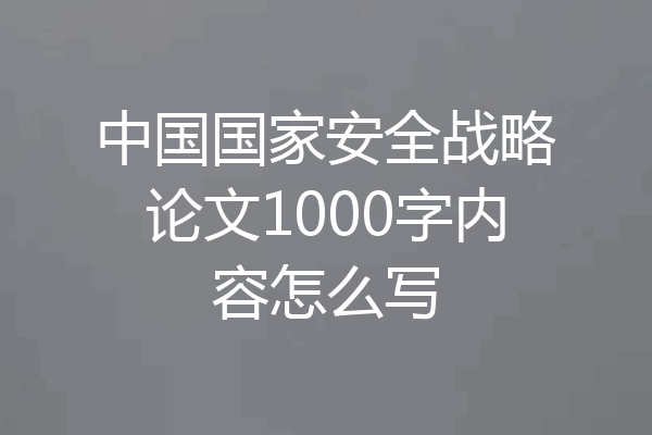 中国国家安全战略论文1000字内容怎么写