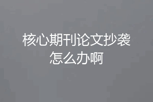 核心期刊论文抄袭怎么办啊
