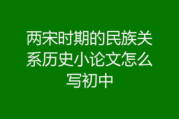 两宋时期的民族关系历史小论文怎么写初中